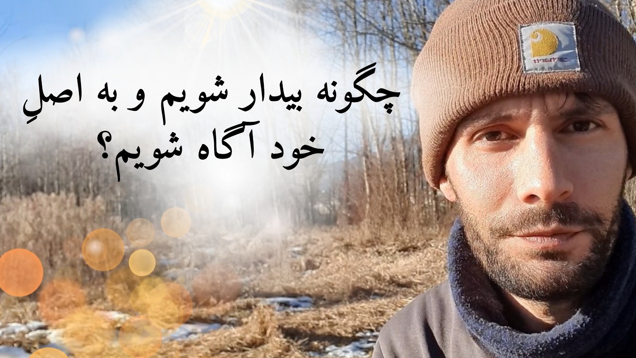آنچه ما «جهان» و «من» می‌نامیم، محصول تفسیر ذهن و مغز ماست