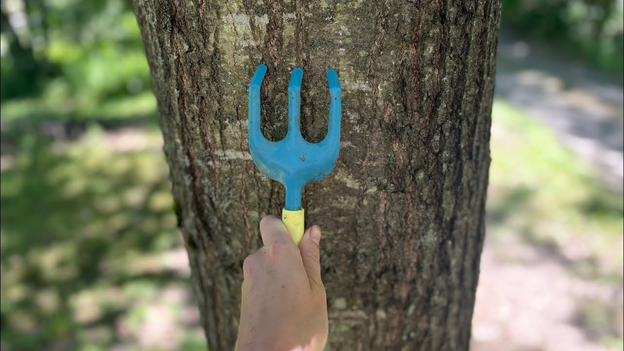 ASMR rake around outside to relax