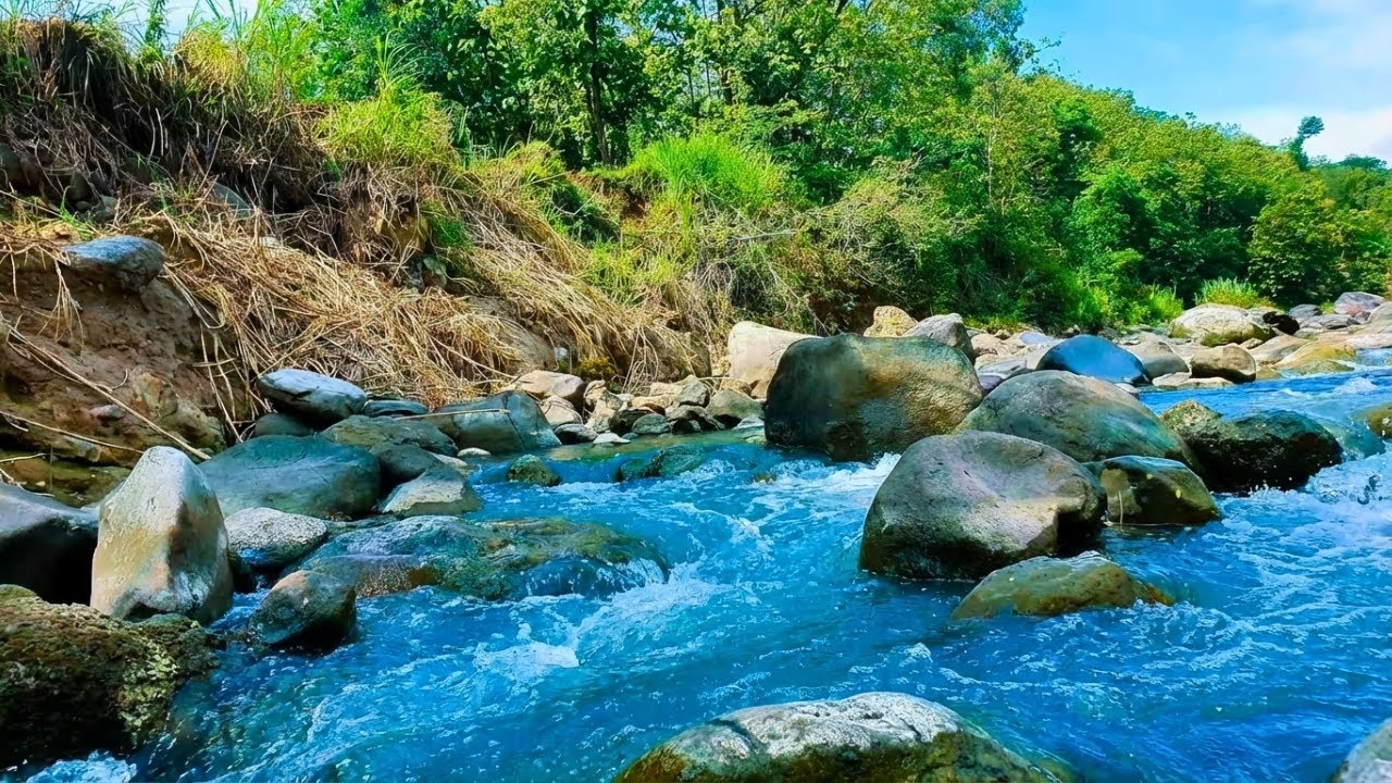 Relaxing Ambience for Sleep – Refreshing Forest River Flow for Mind Relaxation