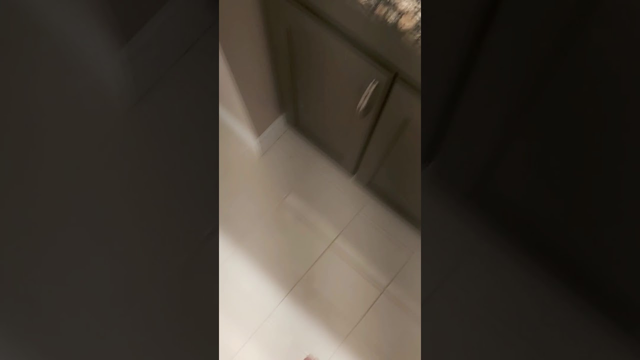 Weird knocking in my walls :/