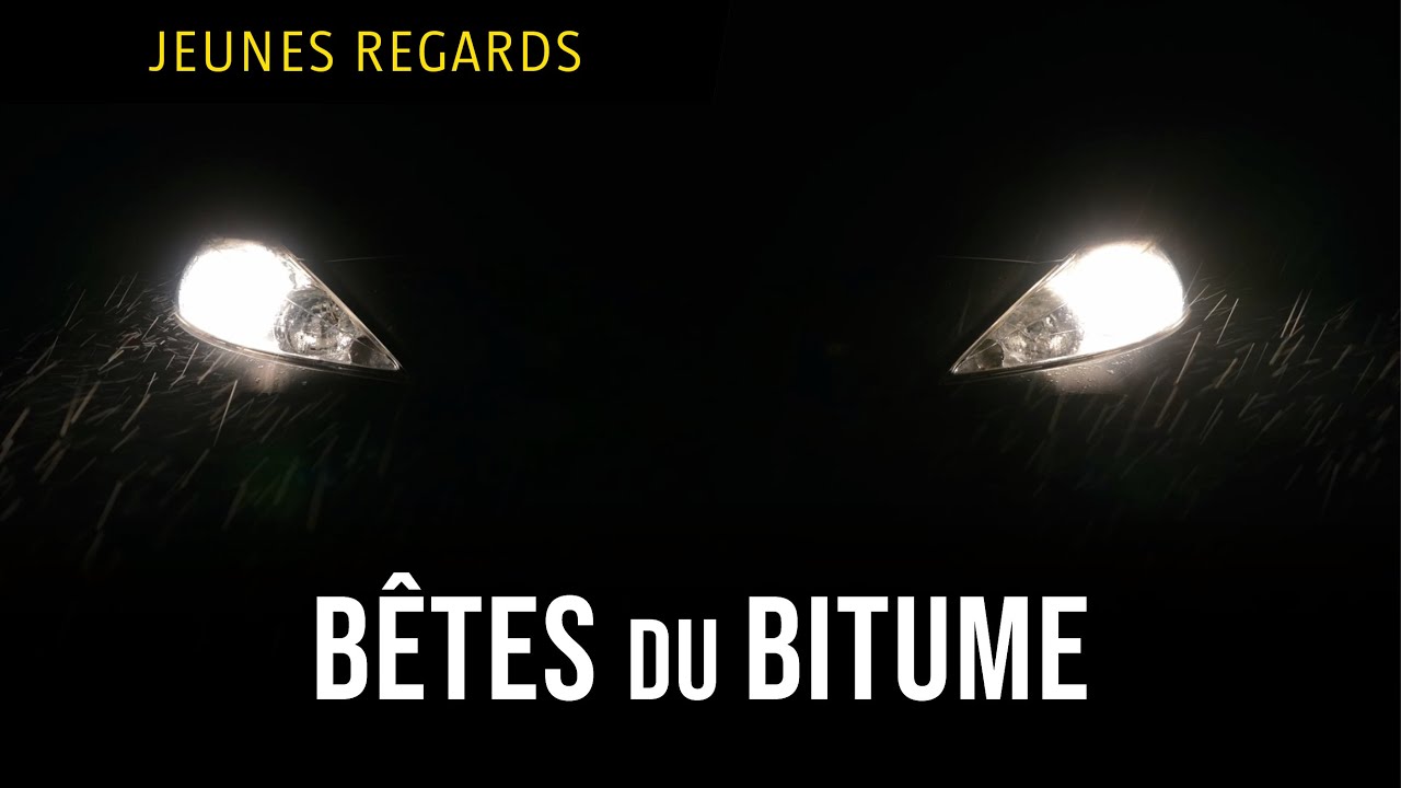 Bêtes du bitume - Bande annonce SalamandreTV