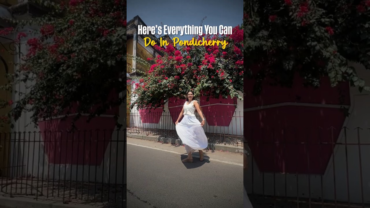 Here's Everything You Can Do In Pondicherry | Curly Tales #shorts