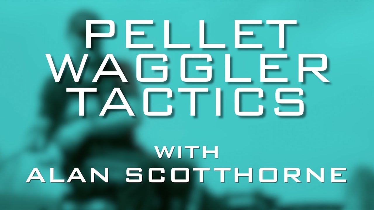 Pellet Waggler Tactics with Alan Scotthorne