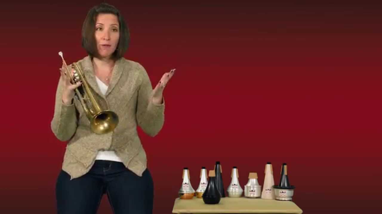 The Denis Wick Practice Mute