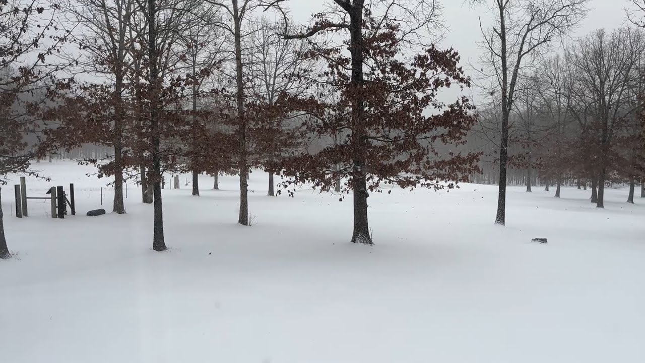 The Sound of Sheer Silence 