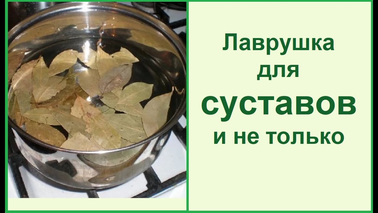 Лавровый лист - чистим и лечим суставы// Рецепты в описании