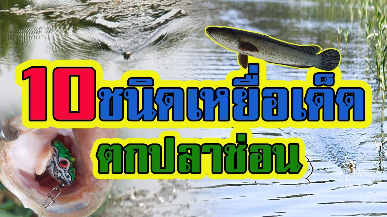 10 อันดับ | เหยื่อปลอมเด็ดๆ | ตกปลาช่อน