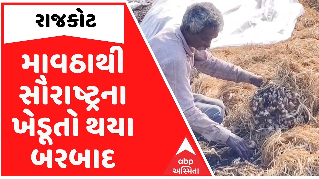 Rajkot News | માવઠાથી સૌરાષ્ટ્રના ખેડૂતો થયા બરબાદ, લસણના પાકને વ્યાપક નુકસાન