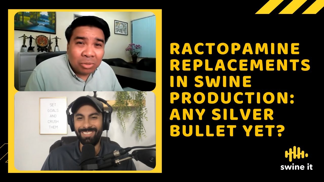Ractopamine replacements in swine production: any silver bullet yet? - Dr. Rommel Sulabo