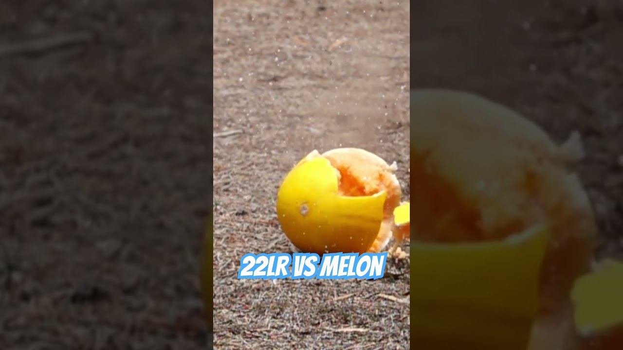 22LR vs Melon #ozziereviews #22longrifle #shooting #rifle #gun #firearms #22lr #slowmotion #slomo