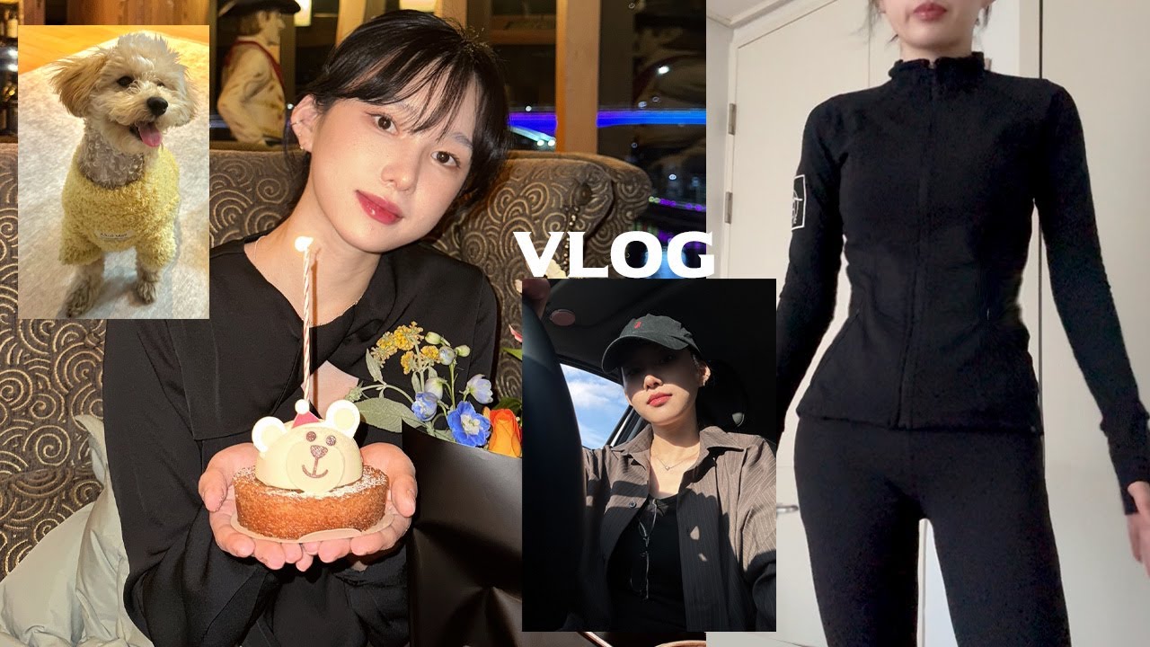 개 산책 시키는 사람의 브이로그 | 필라테스 강사 . 10년 장롱면허 탈출 . 새해다짐
