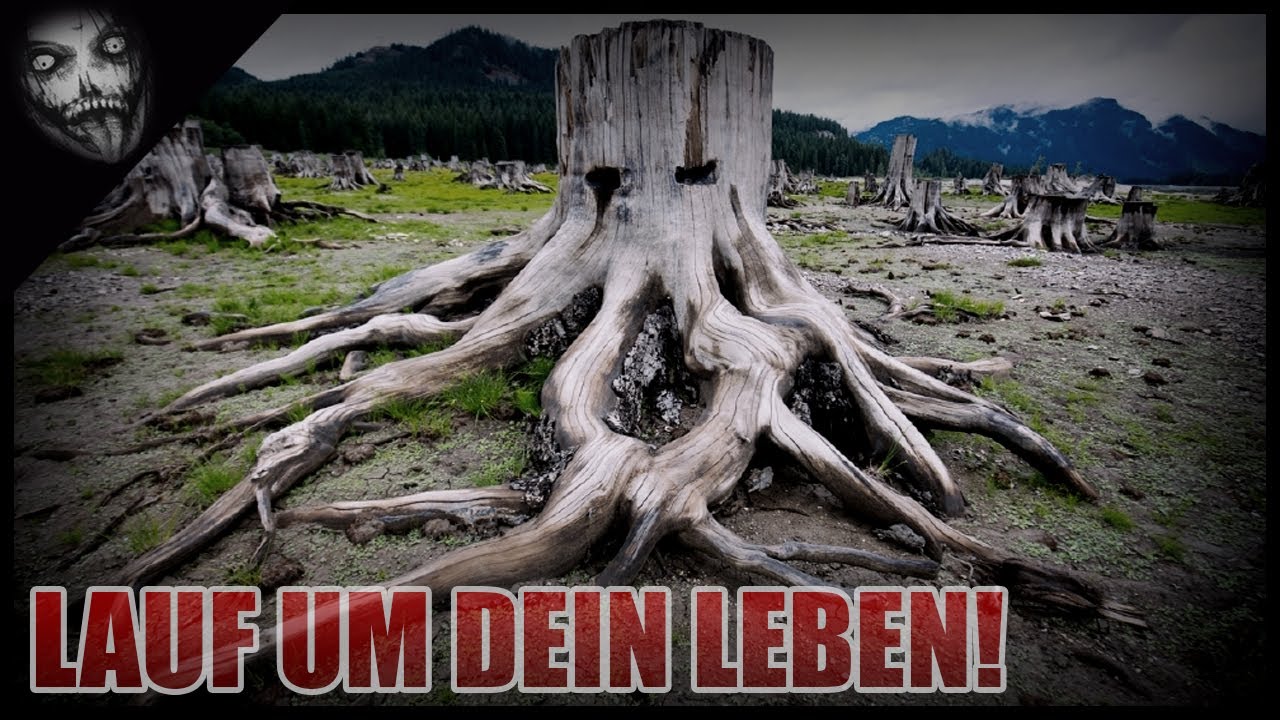 Baumstumpf im Wald.. | Horror Creepypasta German / Deutsch