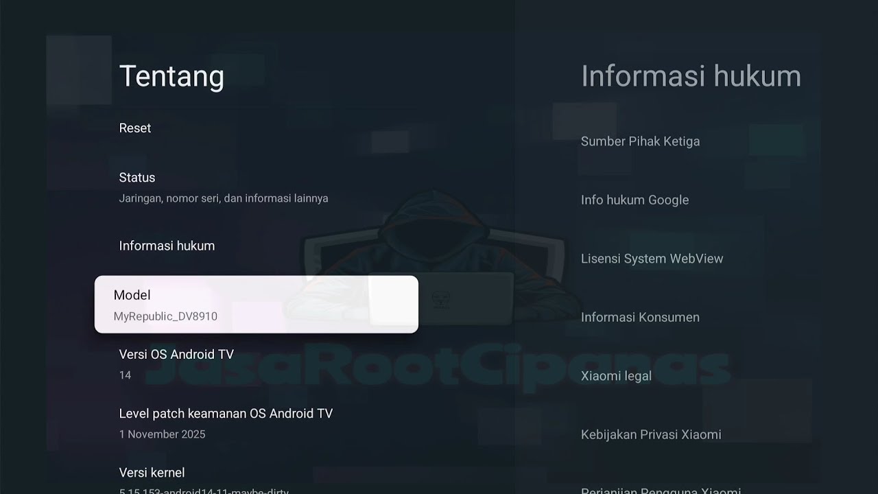 Firmware GoogleTV DV8910