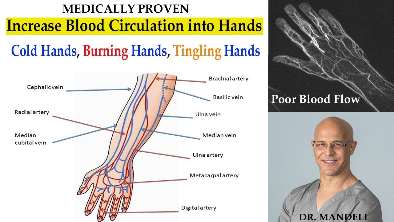 Strategies to Increase Blood Supply to Hands (Cold, Tingling, Numbness in Hands) - Dr. Mandell, DC