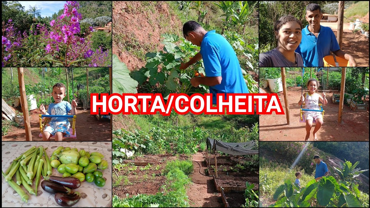 COMO ESTÁ NOSSA HORTA NESSE TEMPO SECO?PORQUE NÃO MOSTRAMOS MAIS?FIZEMOS MAIS UMA COLHEITA