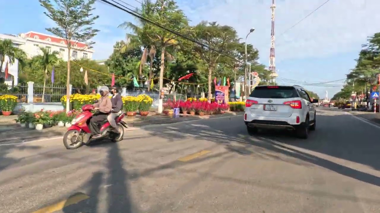 Hoa xuân Bính Ngọ 02-2026 017557