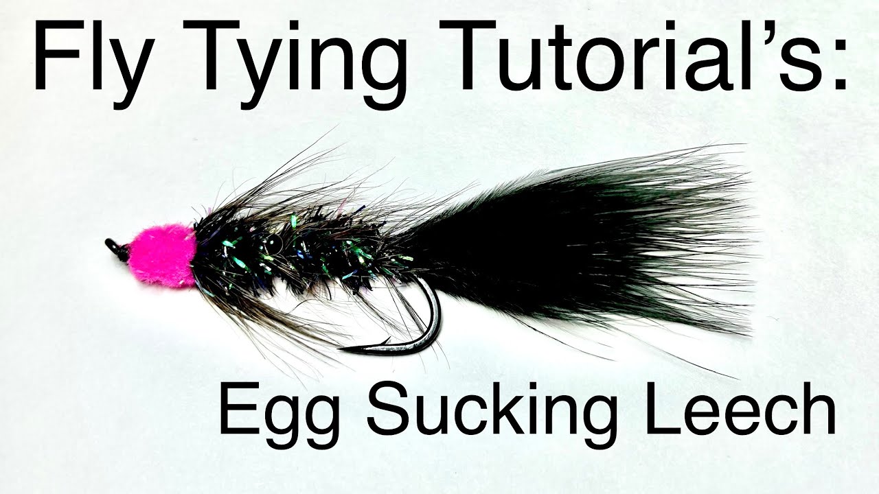 How to Tie the Egg Sucking Leech