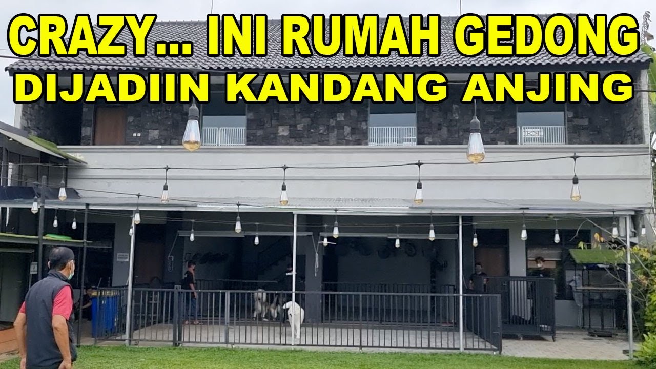 CRAZY ... RUMAH GEDONG DIJADIIN KANDANG ANJING