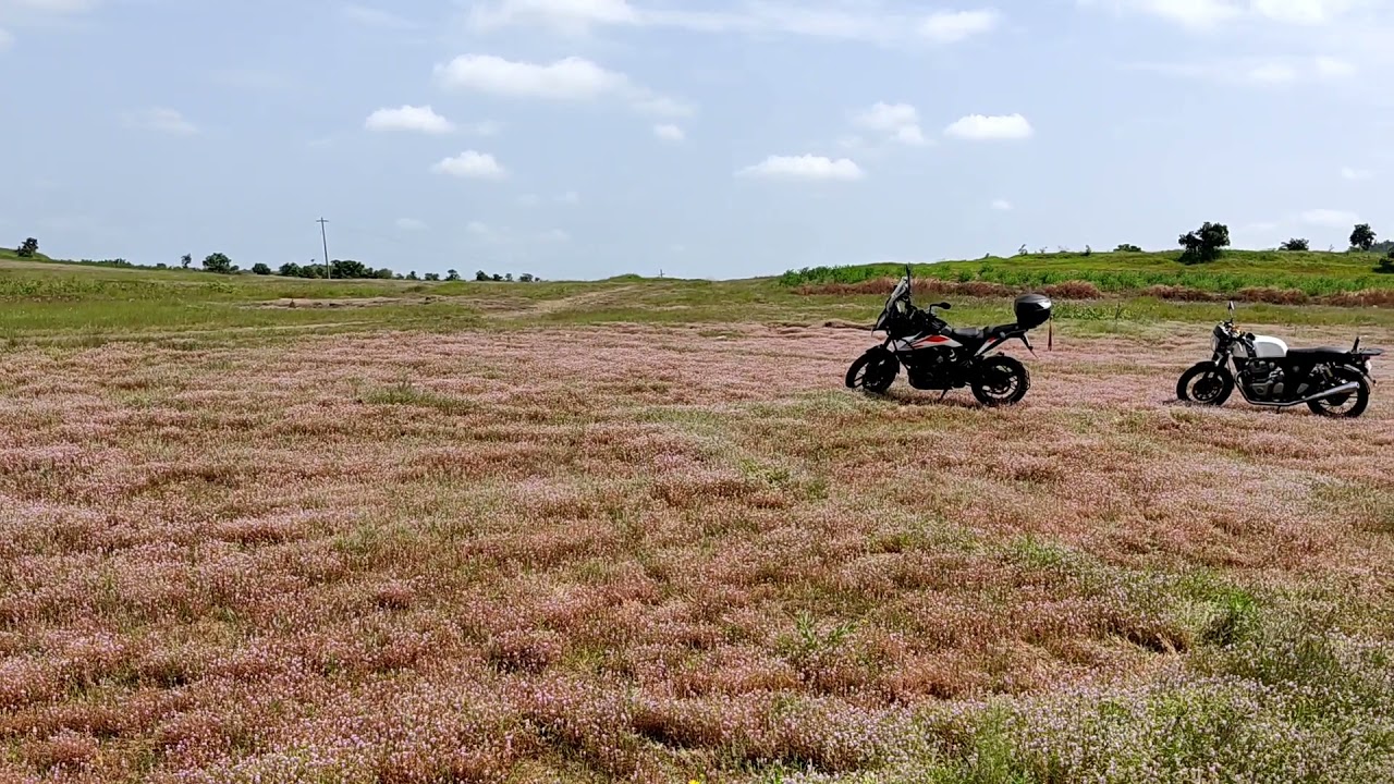 Good place for a Weekend Ride🏍️/ way to  Kotapally reservoir🏝️🏞️😍