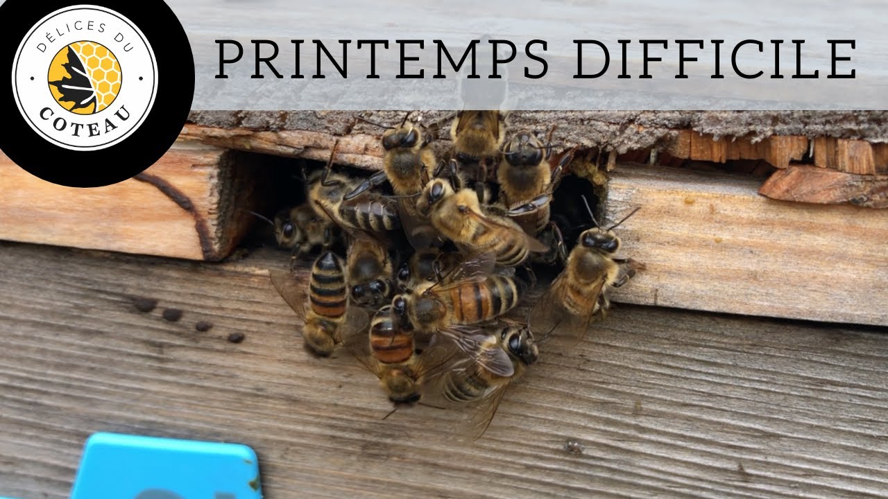 Chialage / Réflexion sur un printemps pluvieux