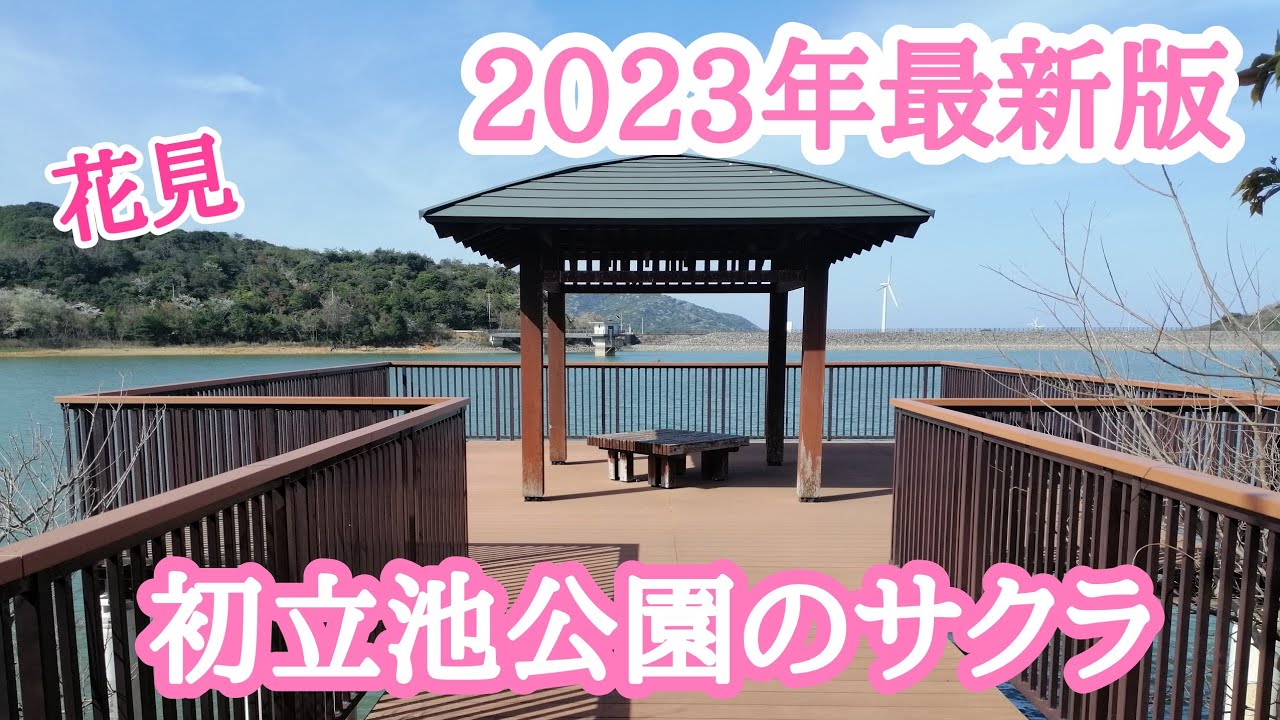 【2023年最新版】初立池公園で花見しながら散歩3/28(火)