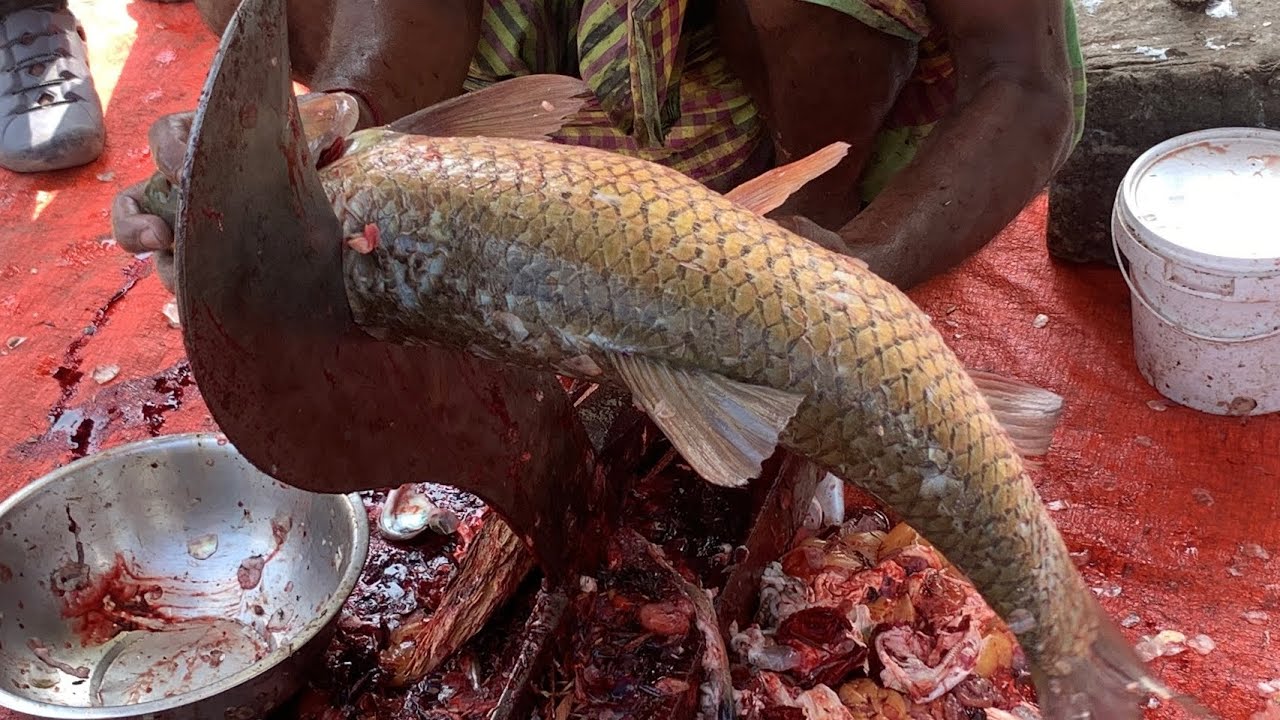 I never seen ll giant Rouhfish cutting live skills by expert fish cutter in Fishmarket 