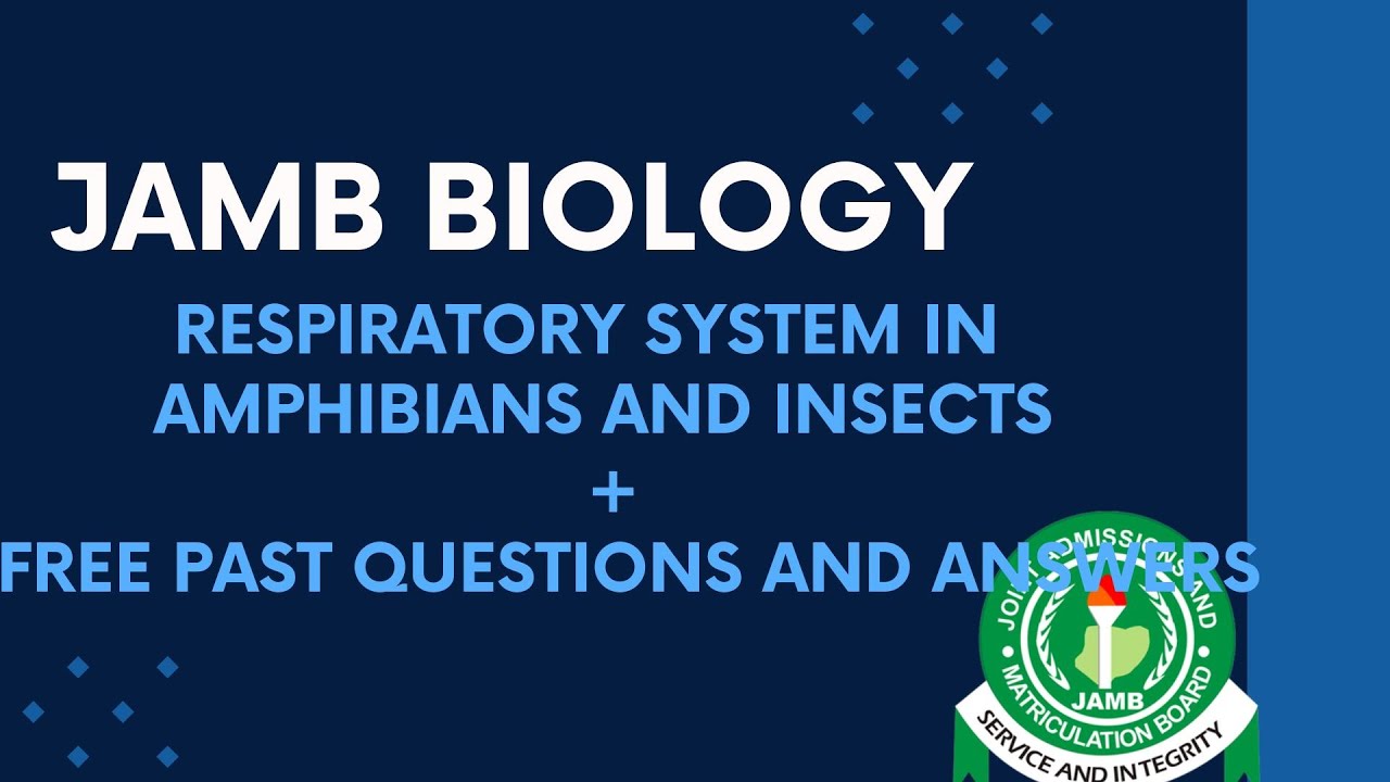 JAMB Biology 2025 EP 81 - Respiratory System In Amphibians and Insects + Free JAMB Biology Questions