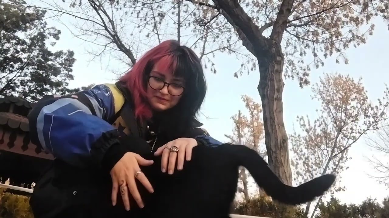 Kedi seviyorum gün 1