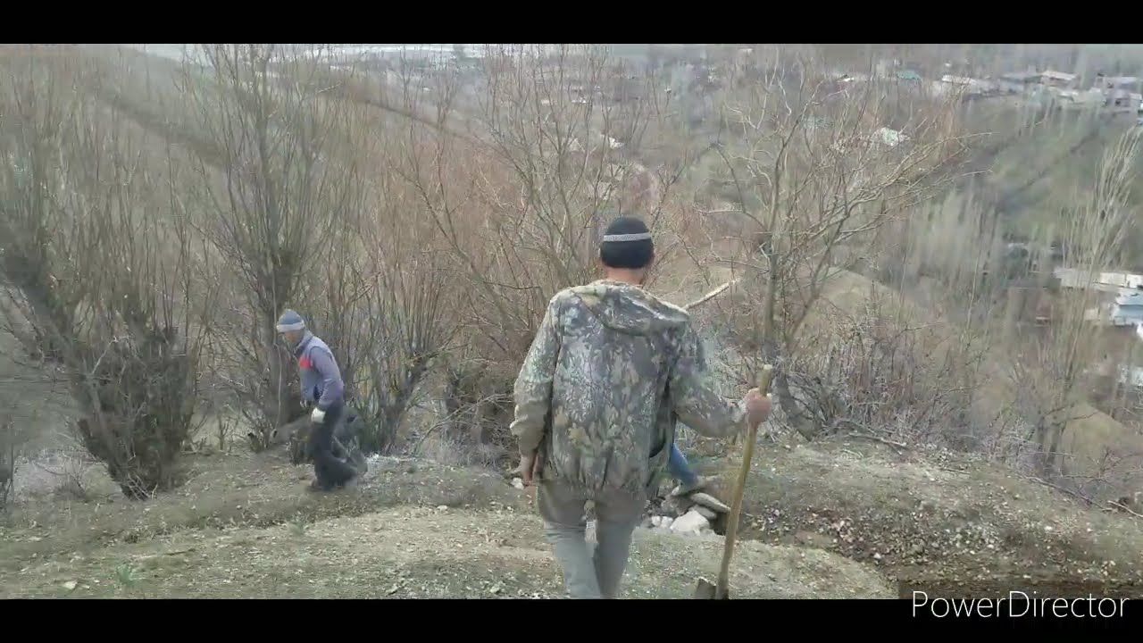 Д.пилдони миёна