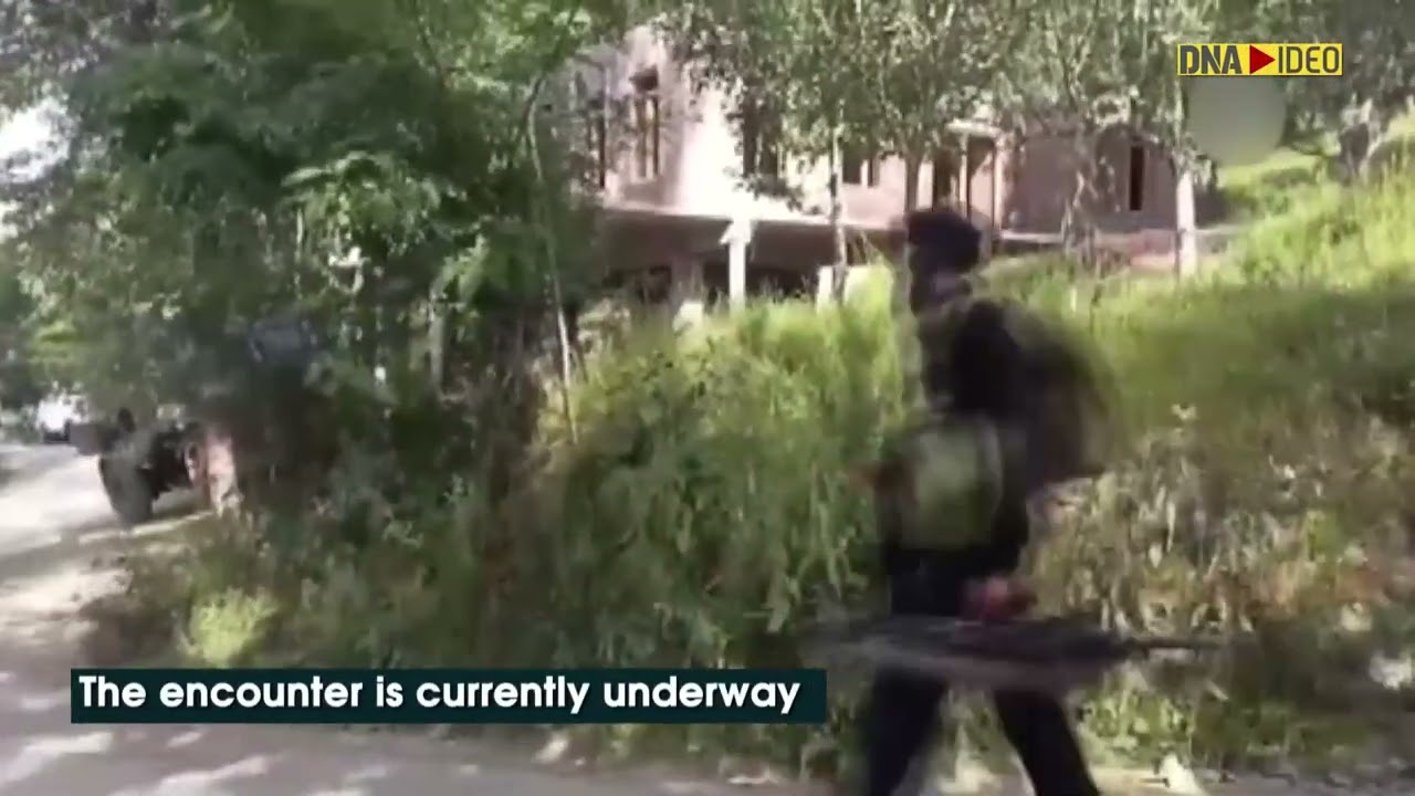 J-K: One terrorist killed in Shopian encounter