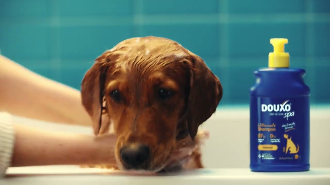 DOUXO Spa | Ultra-Gentle Dog Shampoo for Sensitive Pet Skin