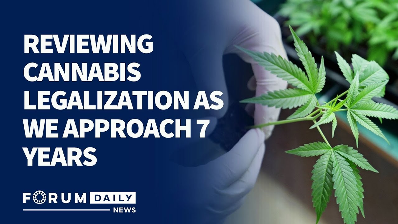 Reviewing Cannabis Legalization As We Approach 7 Years