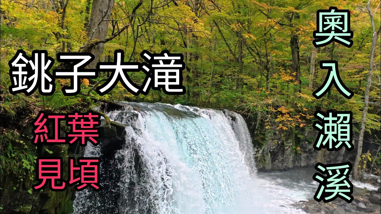 奧入瀨溪紅葉之旅：美麗的十和田湖晨光與銚子大滝（奧入瀨溪第一大瀑布）