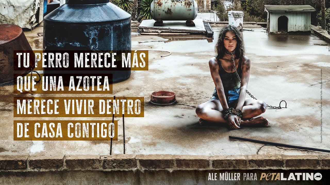 Ale M&uuml;ller narra la vida de un perro encadenado en una azotea | PETA Latino