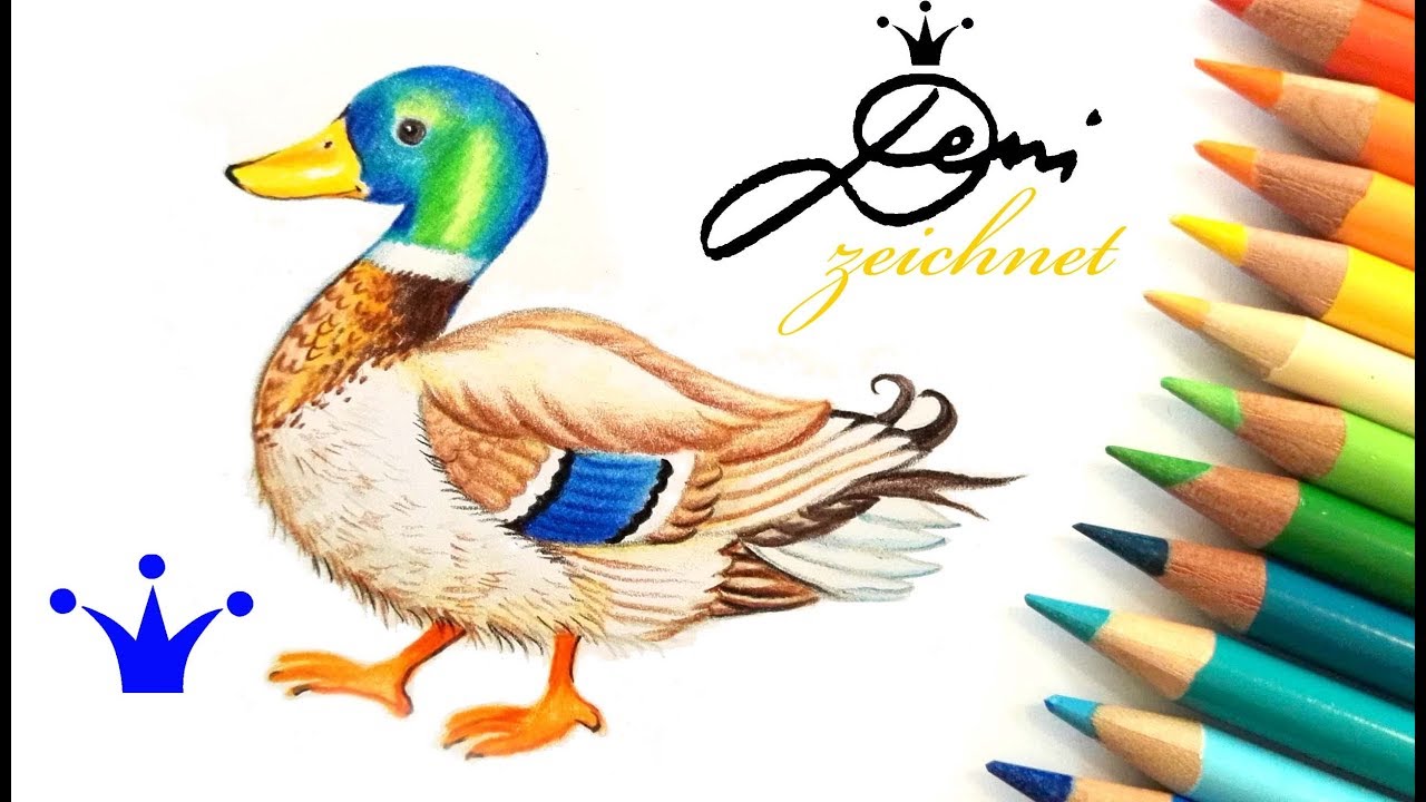 Ente zeichnen 🐥 Stockente malen 🐤 How to Draw a Duck 🐦 Comment dessiner un canard