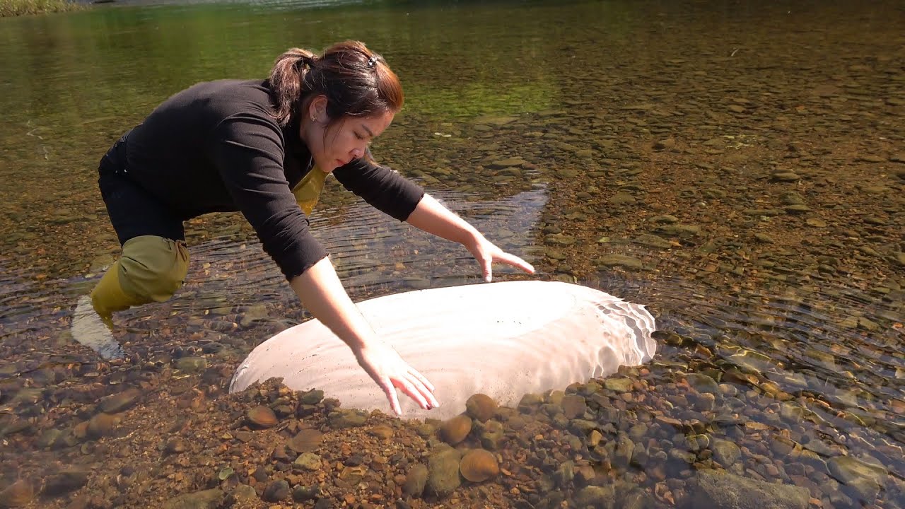 Freshwater clams hide huge pearls, and the girl's hand trembles when it opens, it's too big
