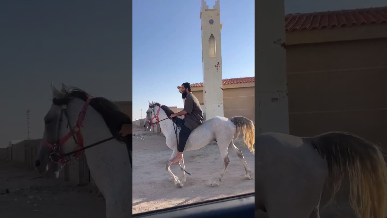 مقتطفات من على حصاني شعلان
