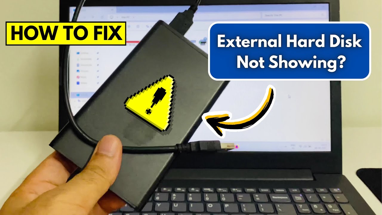 How to Fix External Hard Drive Not Showing Up in Windows 10/11