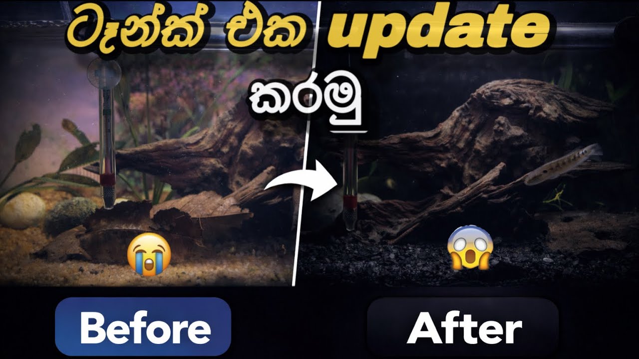 Tank set up / ටෑන්ක් එක update කරමු 