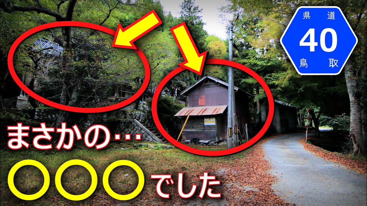 【険道★/突如現れた集落の様子が何かおかしい…】鳥取県道40号 智頭用瀬線【赤波川渓谷・板井原集落】