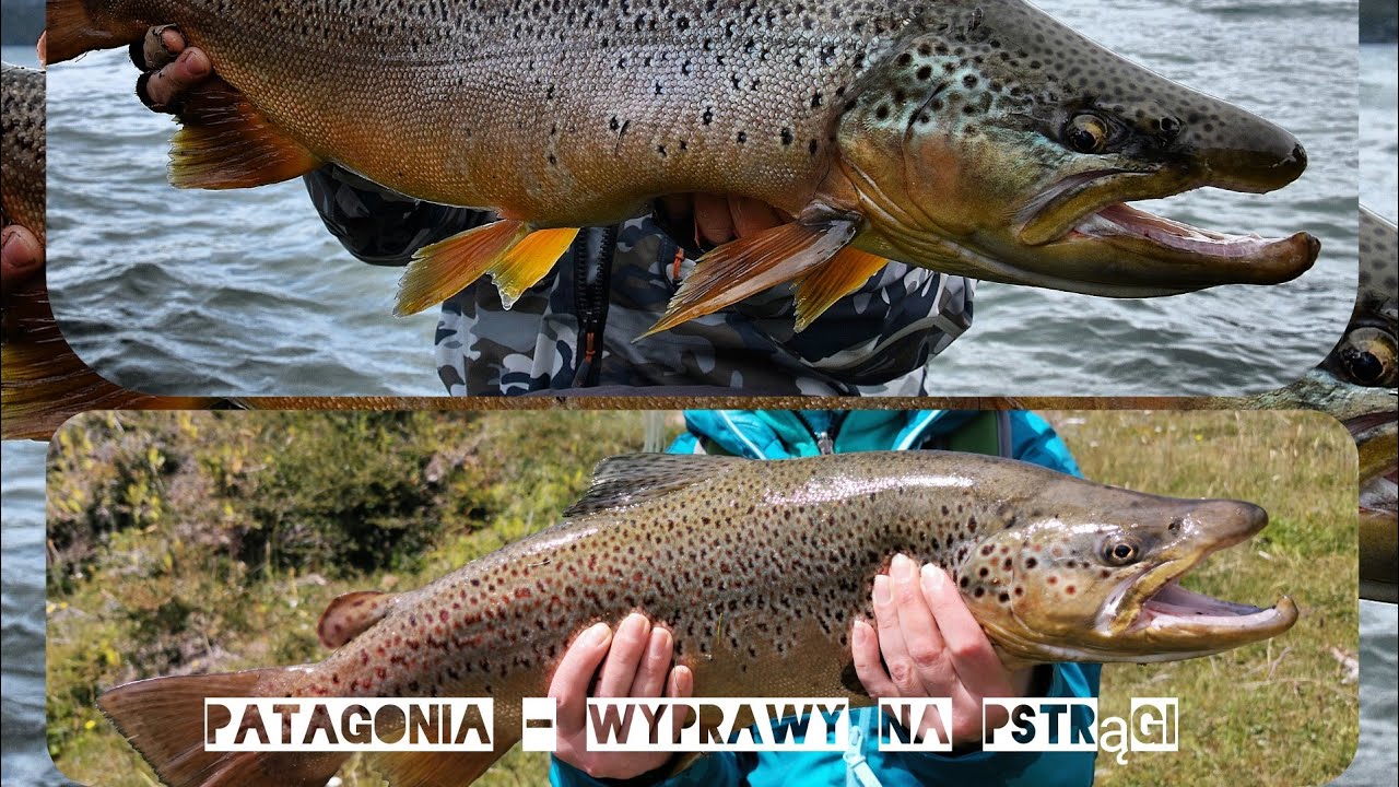 Patagonia - wyprawy na pstrągi ❤️❤️❤️