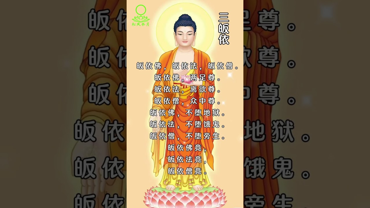 佛学知识系列之【三皈依】至心皈依三宝 皈依佛 皈依法 皈依僧 #正能量 #人生感悟 #佛法