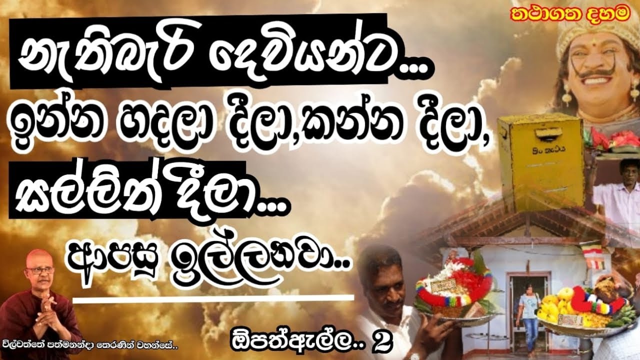 wilwaththe pathma theraniyo