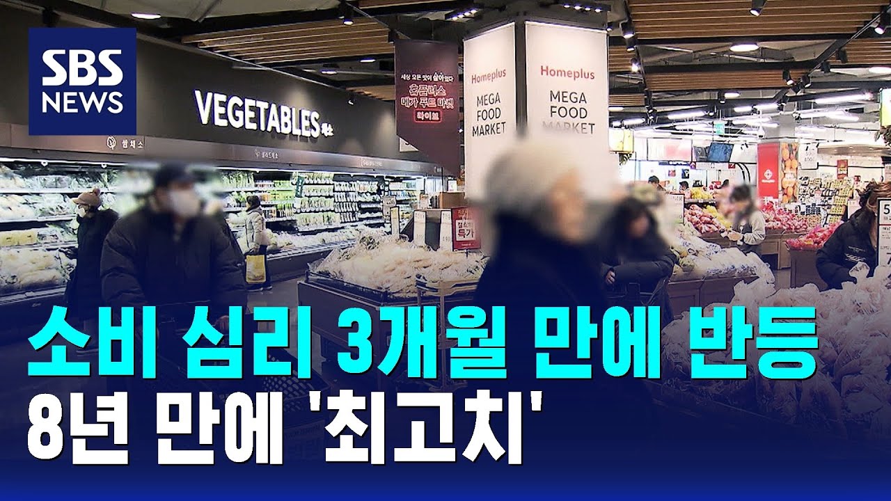 소비 심리 3개월 만에 반등&hellip;8년 만에 '최고치' / SBS