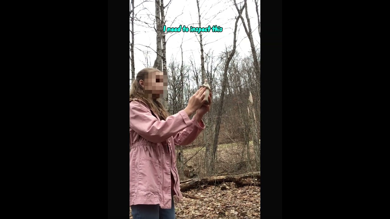 First time in the Fairy Realm!! #bringbackfairytok #fairytok #fairytube #waterfairy #harpyhare #fae