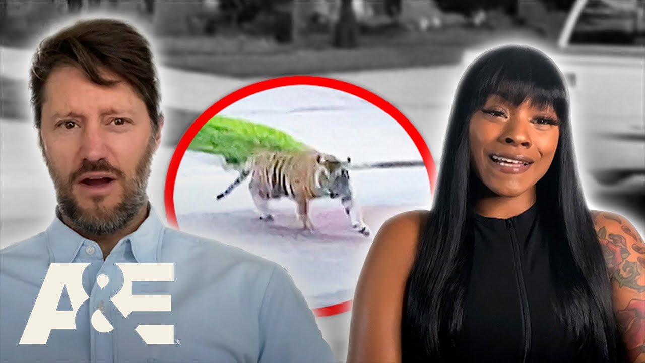 Neighborhood Wars: Best of Season 1 - MEGA-COMPILATION | A&E