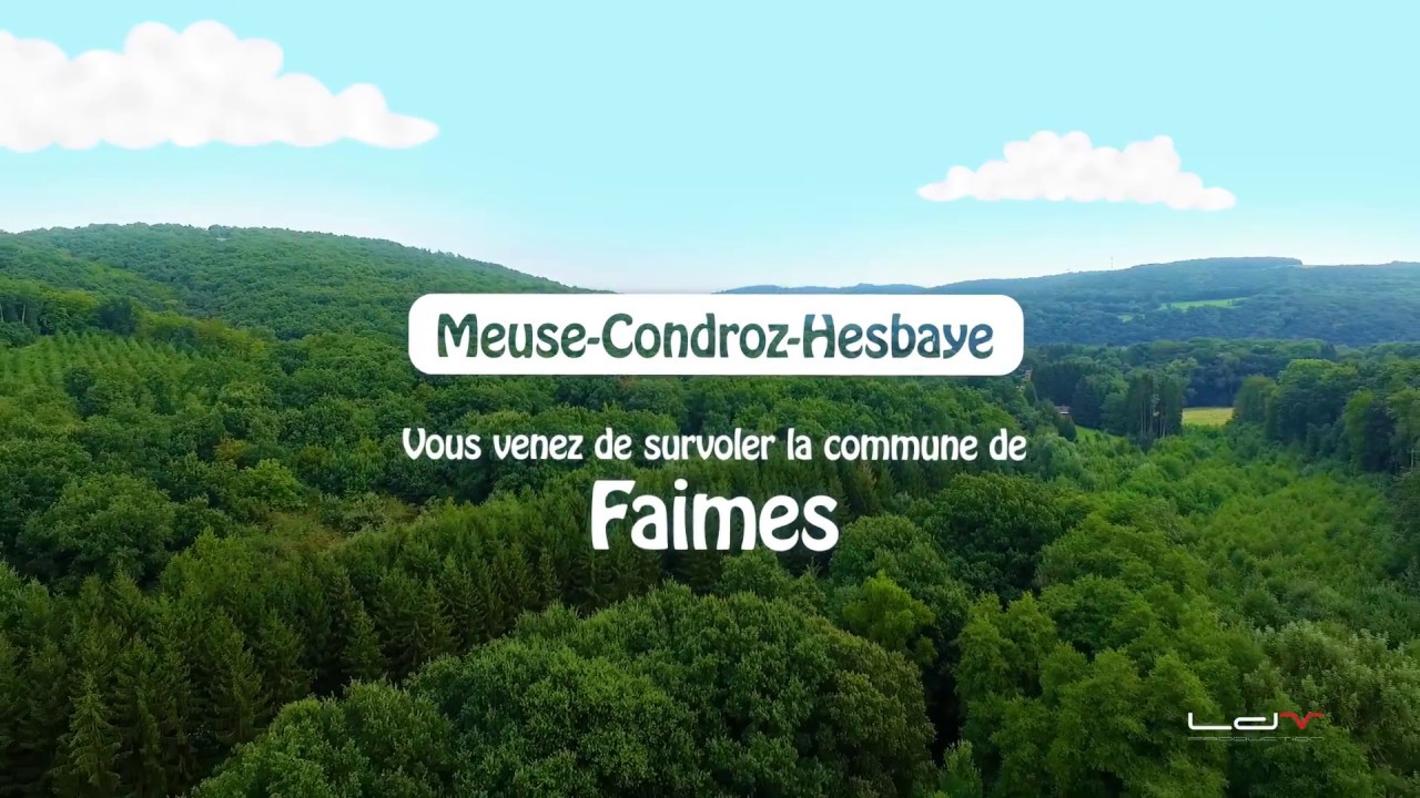 FAIMES