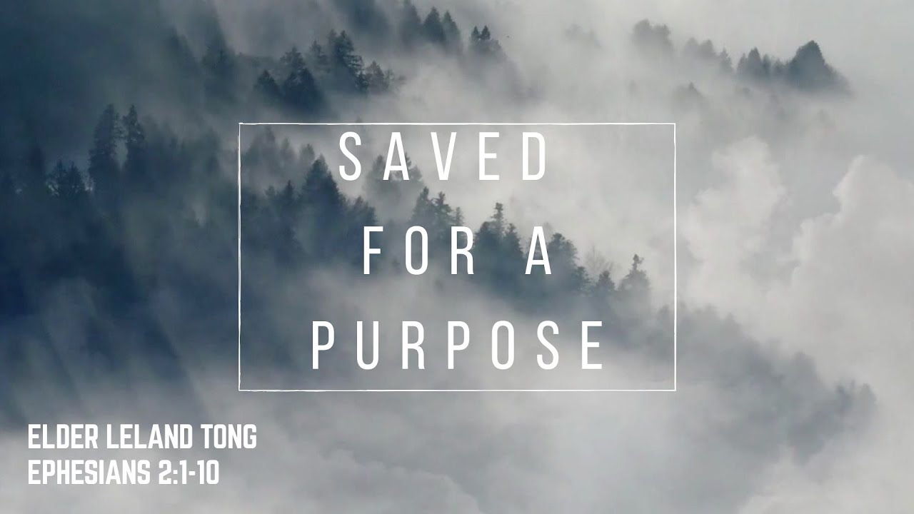 Ephesians 2:1-10 : Saved for a Purpose