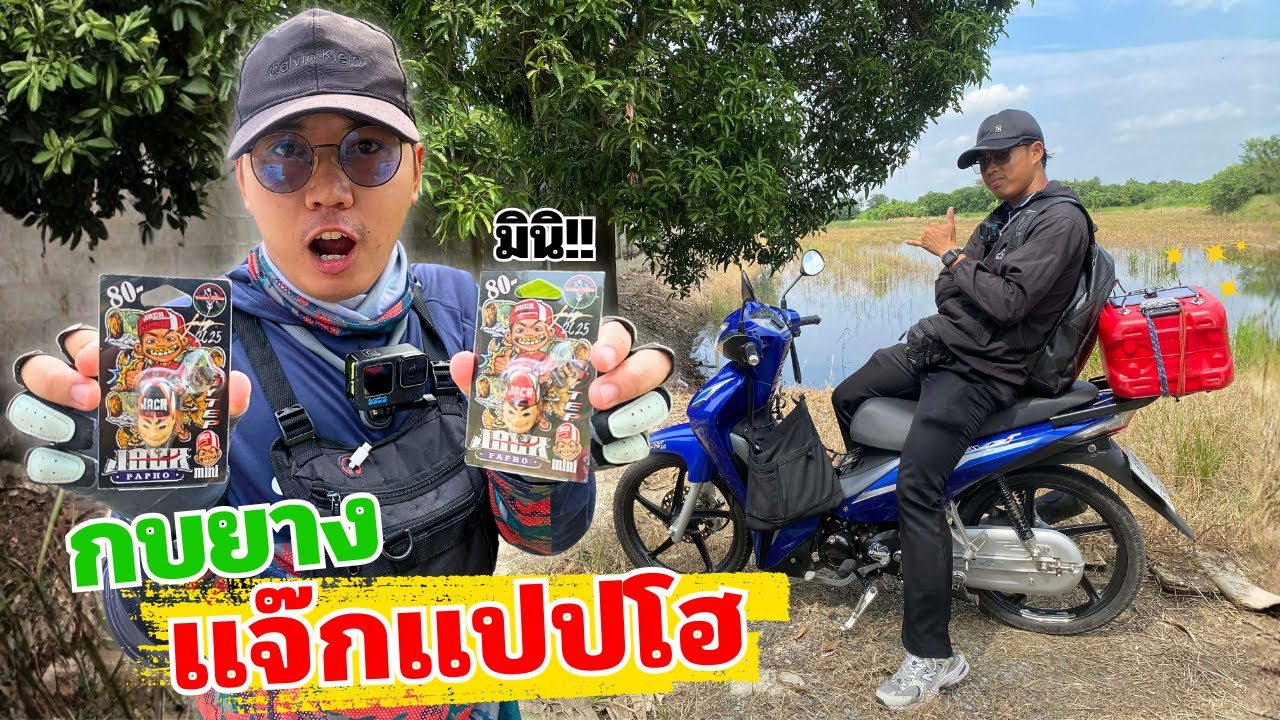 ตกปลาช่อนด้วย กบยางเเจ๊กเเปปโฮ (มินิ)