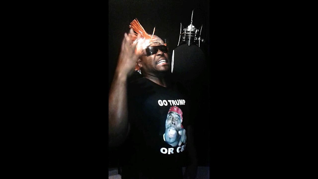 DONALD TRUMP SUPPORTERS RALLY SONG BY HENRY DAVIS